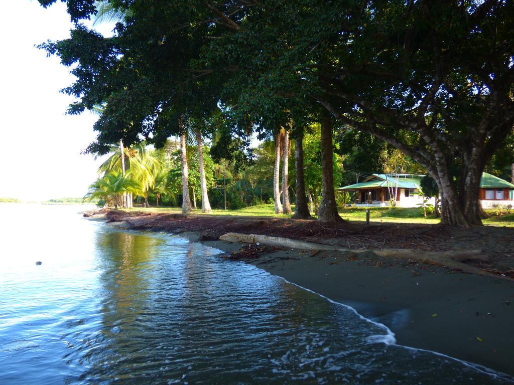 Corcovado Beach Lodge Пуерот-Хіменес Екстер'єр фото