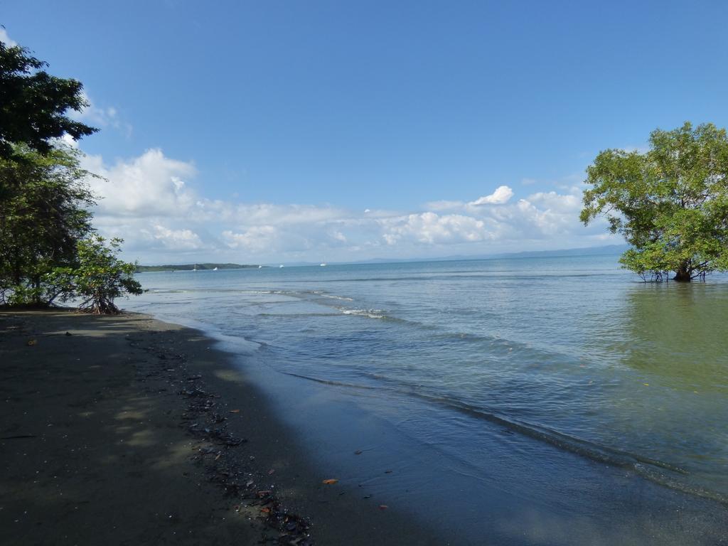 Corcovado Beach Lodge Пуерот-Хіменес Екстер'єр фото