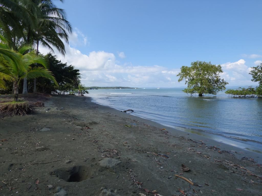 Corcovado Beach Lodge Пуерот-Хіменес Екстер'єр фото