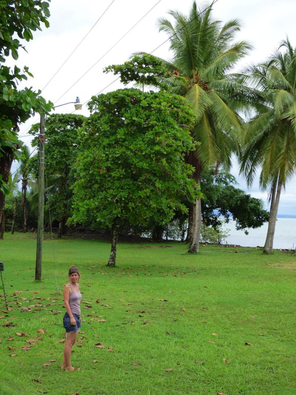 Corcovado Beach Lodge Пуерот-Хіменес Екстер'єр фото